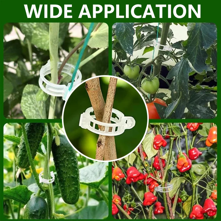 đż ClingGrow⢠Plant Support Clipsă100 pcsă