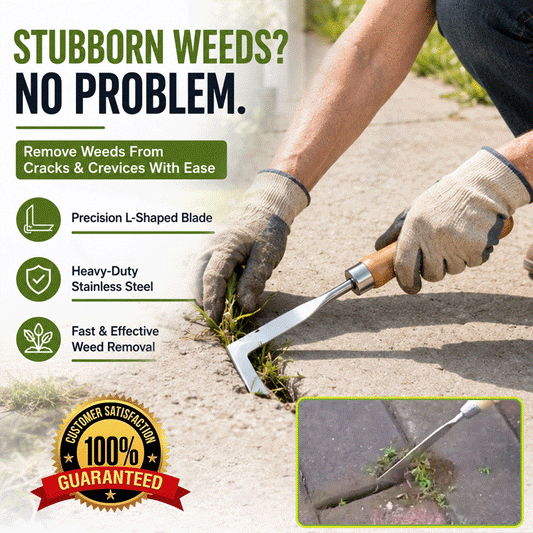 Precision Stainless Steel Crack Weeder Tool – Ergonomic Hand Weeding Tool for Patio Cracks, Driveways, Sidewalk Gaps & Garden Edges