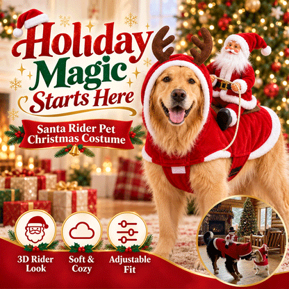 3D Santa Rider Christmas Dog Costume