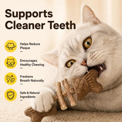 Natural Silvervine Fish Bone Cat Chew Toy – Dental Cleaning Stick, Catnip Enrichment Toy for Indoor Cats