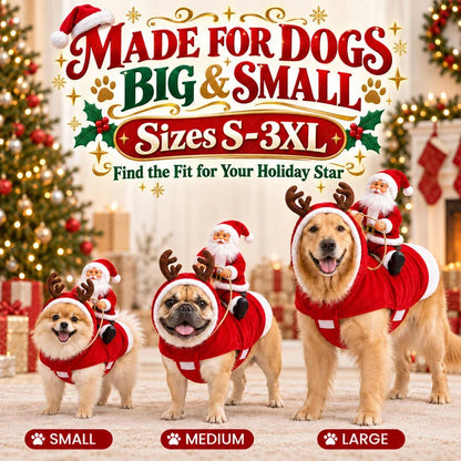 3D Santa Rider Christmas Dog Costume