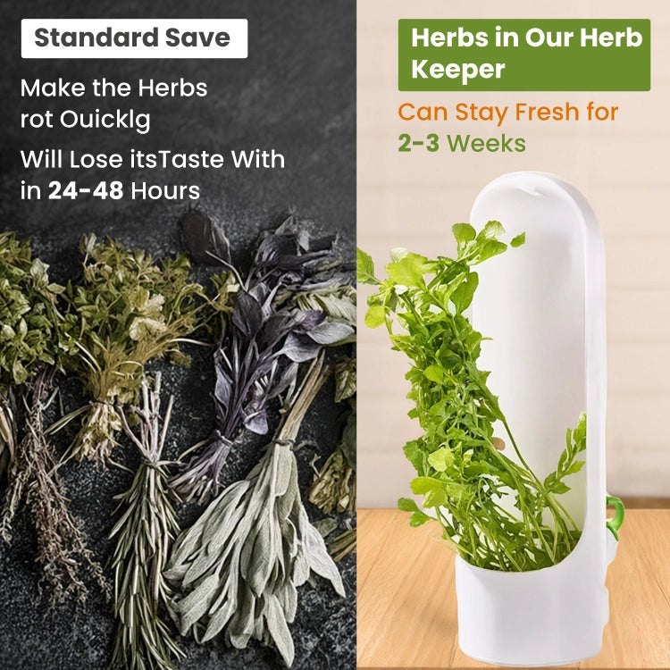 Premium Herb Keeper & Vegetable Freshness Container – Extend Freshness Up to 2–3 Weeks