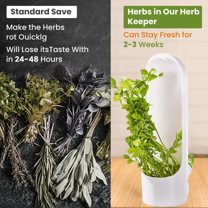 Premium Herb Keeper & Vegetable Freshness Container – Extend Freshness Up to 2–3 Weeks