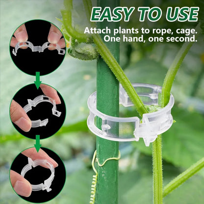 🌿 ClingGrow™ Plant Support Clips【100 pcs】