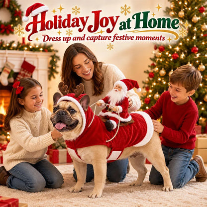 3D Santa Rider Christmas Dog Costume