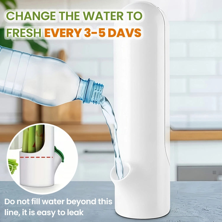 Premium Herb Keeper & Vegetable Freshness Container – Extend Freshness Up to 2–3 Weeks