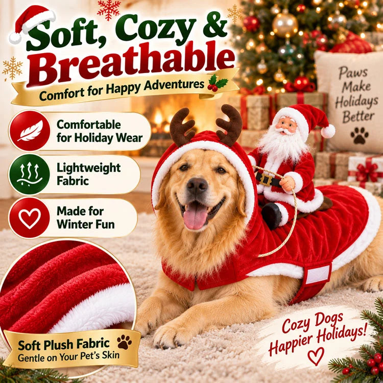 3D Santa Rider Christmas Dog Costume