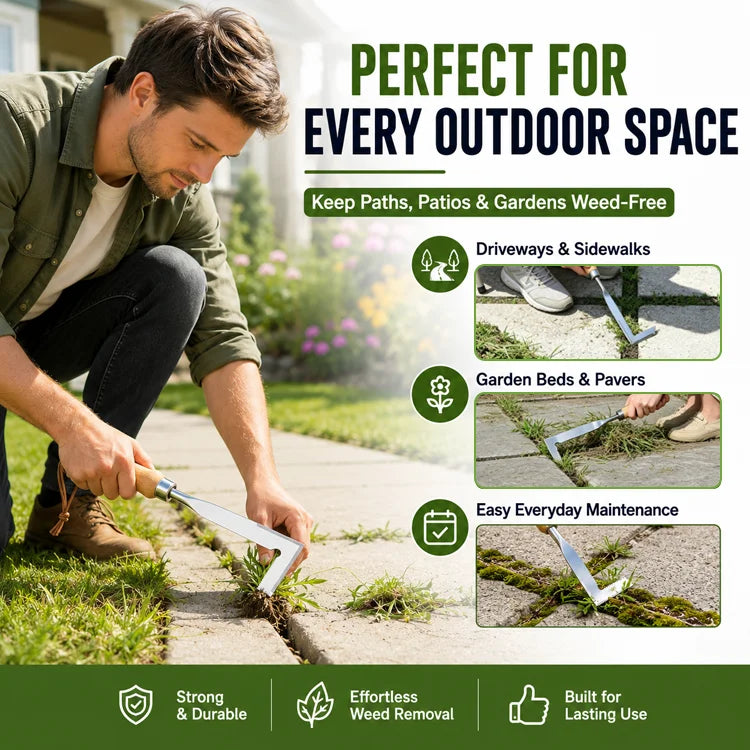 Precision Stainless Steel Crack Weeder Tool – Ergonomic Hand Weeding Tool for Patio Cracks, Driveways, Sidewalk Gaps & Garden Edges