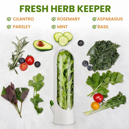 Premium Herb Keeper & Vegetable Freshness Container – Extend Freshness Up to 2–3 Weeks