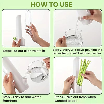 Premium Herb Keeper & Vegetable Freshness Container – Extend Freshness Up to 2–3 Weeks