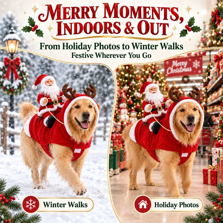 3D Santa Rider Christmas Dog Costume