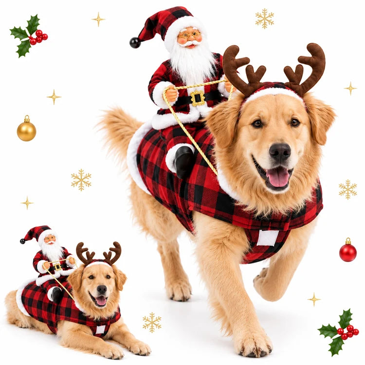 3D Santa Rider Christmas Dog Costume