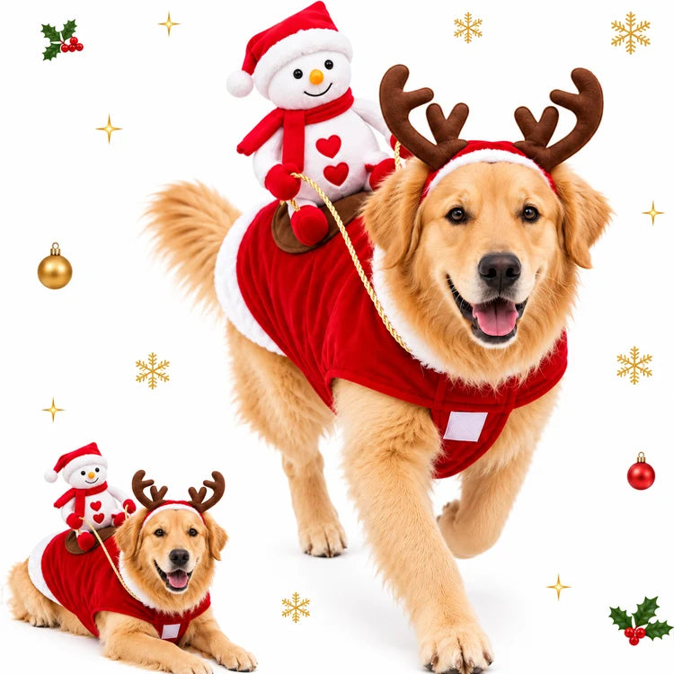 3D Santa Rider Christmas Dog Costume