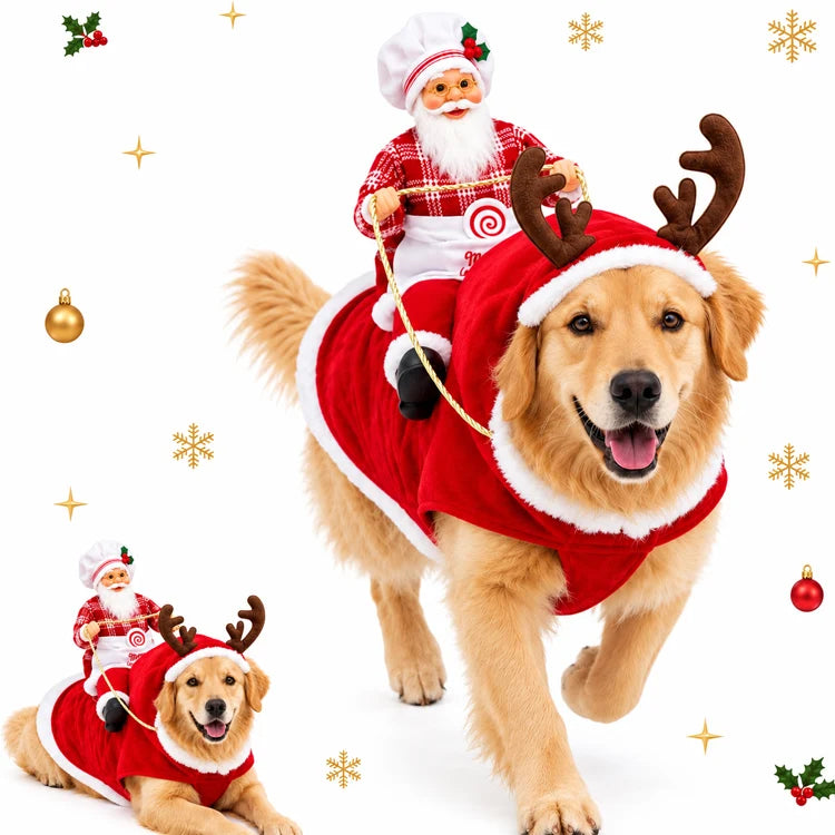 3D Santa Rider Christmas Dog Costume