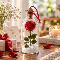 Christmas Rose 🌹
